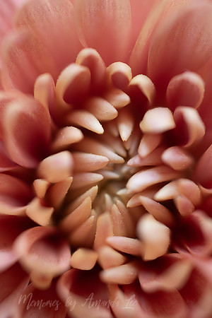 Peachy Mum 2